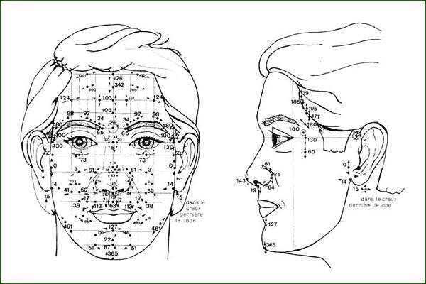 La Réflexologie Faciale